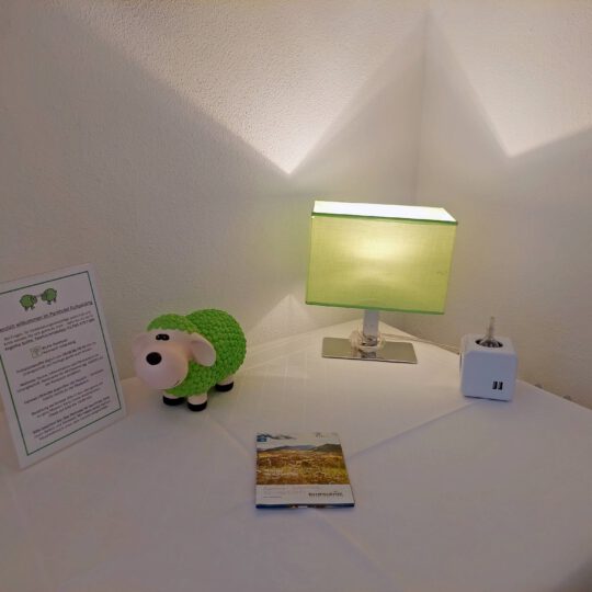 Zimmerinformation